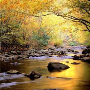 《高潮3》hd未删减在线吗免费观看
